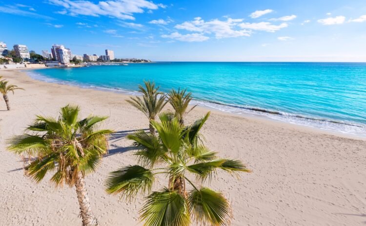 alicante playa albufereta postiguet vacaciones verano mediterráneo la terreta turismo gastronomia Alicante San Juan beach of La Albufereta with palms trees